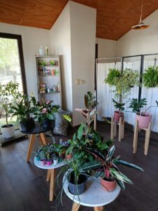 Interior 1